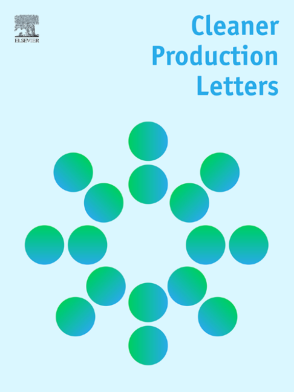 cleanerProductionLetters